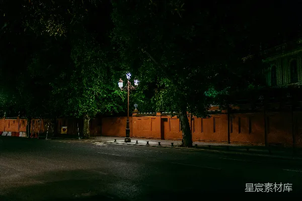 高清摄影 夜色中的街灯与树木