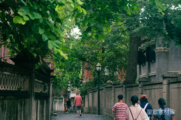 高清摄影 绿荫下的休闲小径