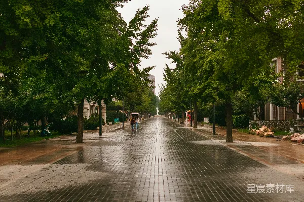 高清摄影 雨后校园小径