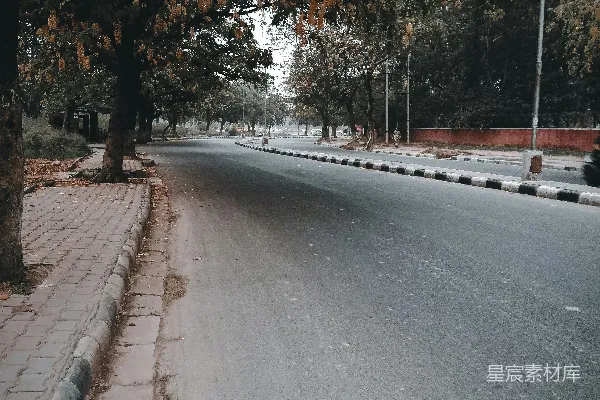高清摄影 秋日林荫道
