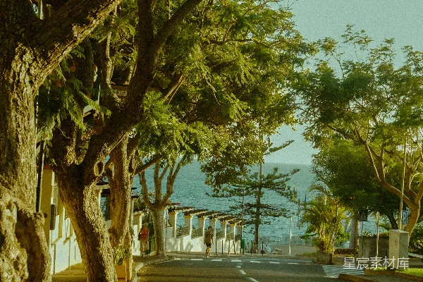 高清摄影 阳光下的海边街道