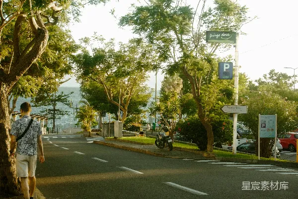高清摄影 海边的阳光与树木