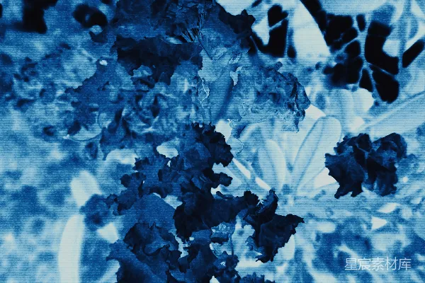 高清摄影 蓝色花卉纹样