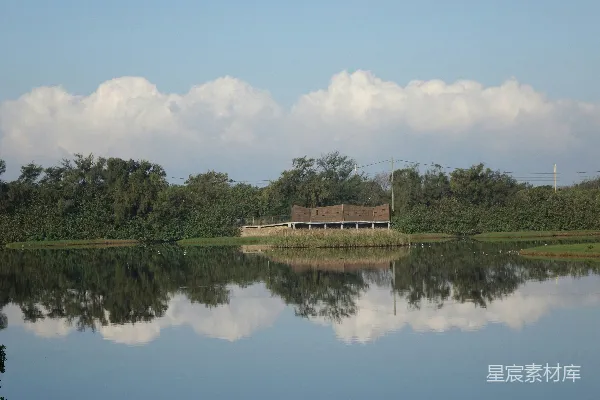 高清摄影 湖畔静谧的自然风景