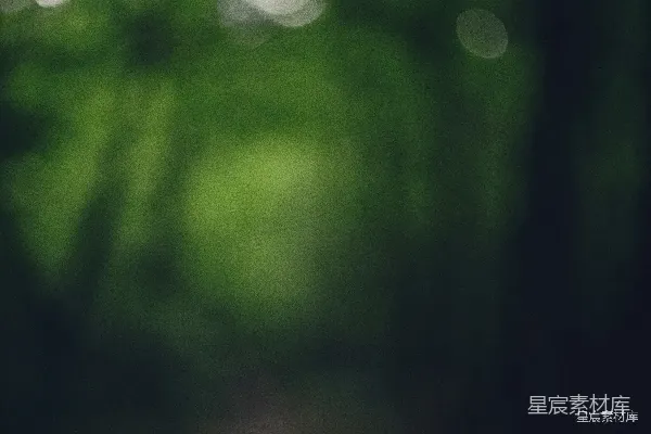 高清摄影 幽暗森林中的光斑