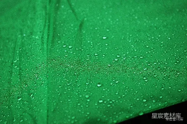 高清摄影 雨后绿色的自然之美