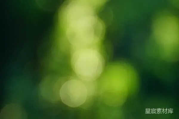 高清摄影 绿意盎然的光斑
