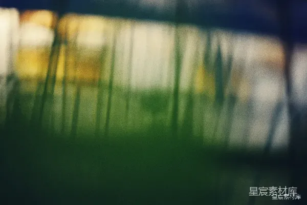 高清摄影 模糊的绿色植物轮廓