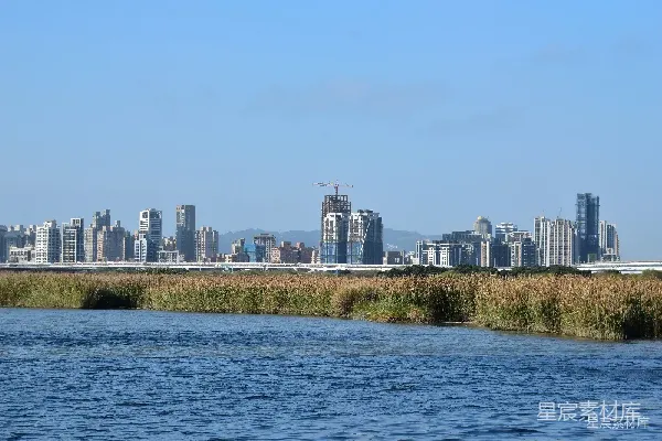 高清摄影 城市与湿地的和谐共存