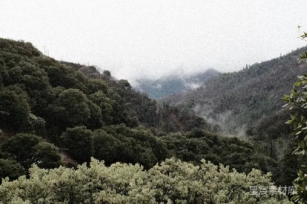 高清摄影 雾蒙蒙的山谷