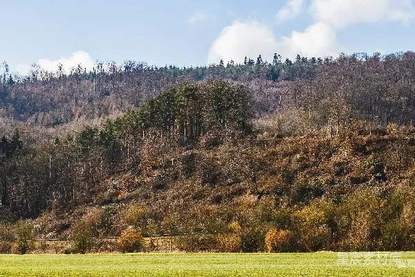 高清摄影 秋日山林与田野