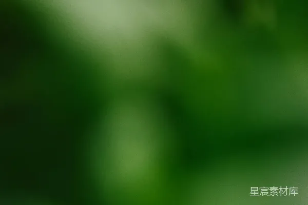 高清摄影 模糊的绿色背景