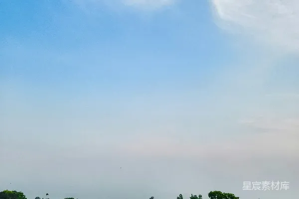 高清摄影 蓝天下的稻田