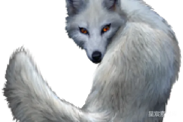 元素素材 PNG