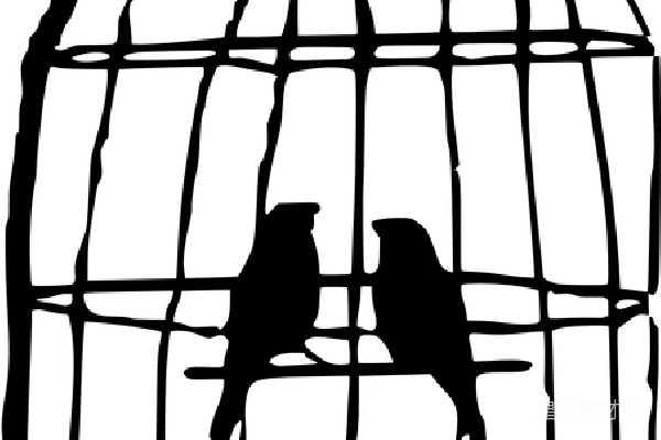 元素素材 夜晚星空的宁静
