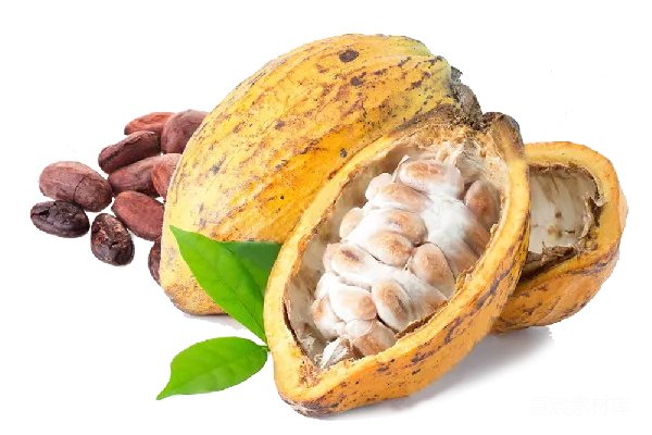 元素素材 可可