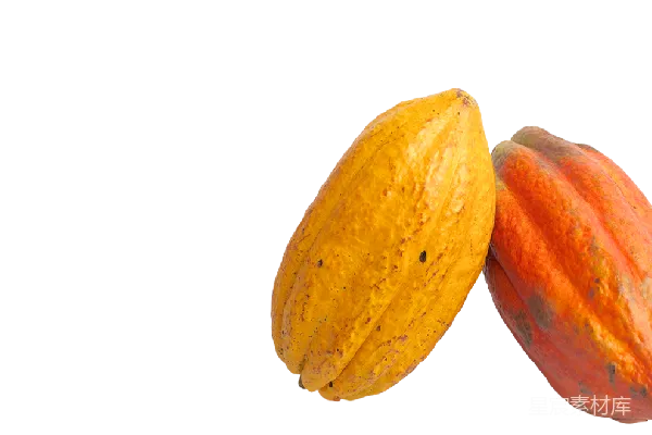 元素素材 透明