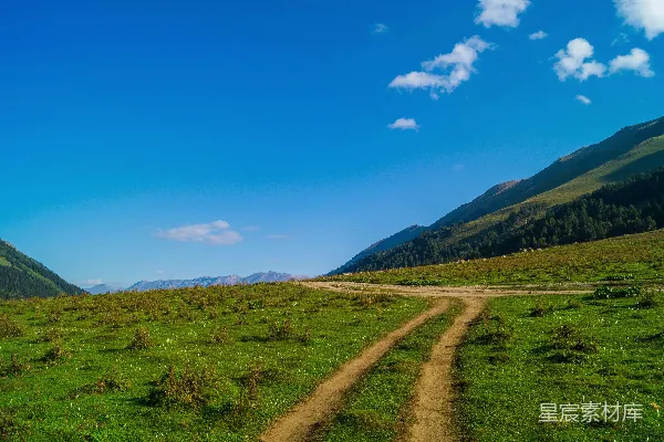 高清摄影 绿色田野中一条泥泞的道路