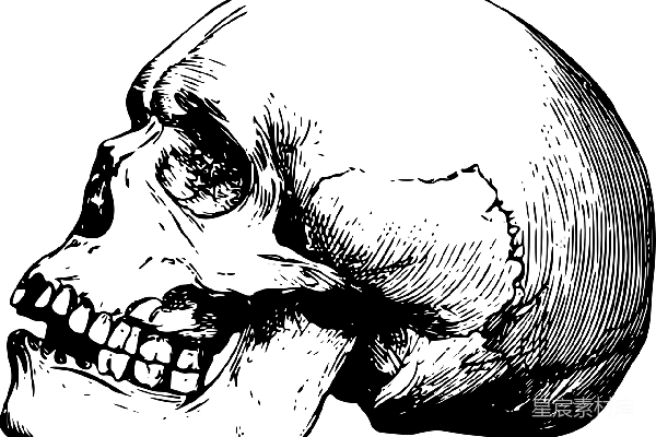 元素素材 颅骨
