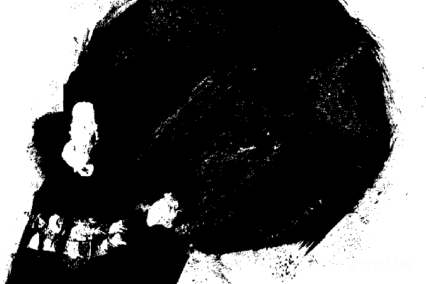 元素素材 颅骨