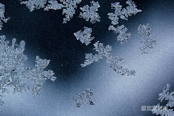 高清摄影 窗户上雪花的特写镜头