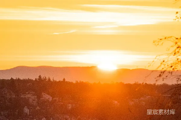 高清摄影 夕阳下的树影轮廓