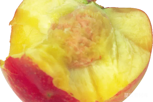 元素素材 桃