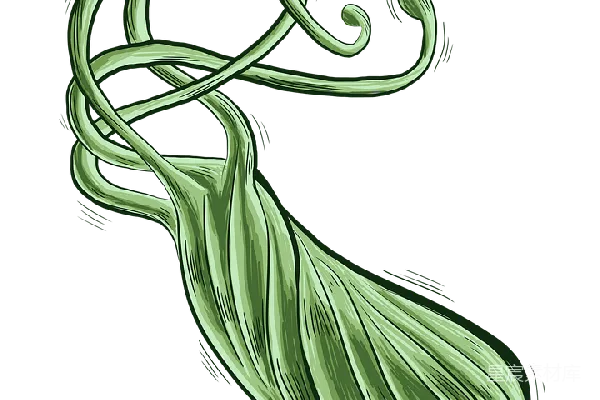 元素素材 细菌