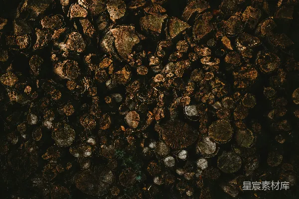 高清摄影 一堆木头堆在一堆泥土上面