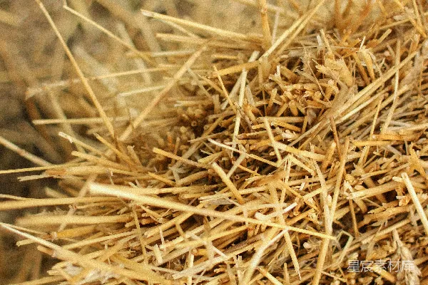 高清摄影 棕色干燥的草在近景摄影中的照片