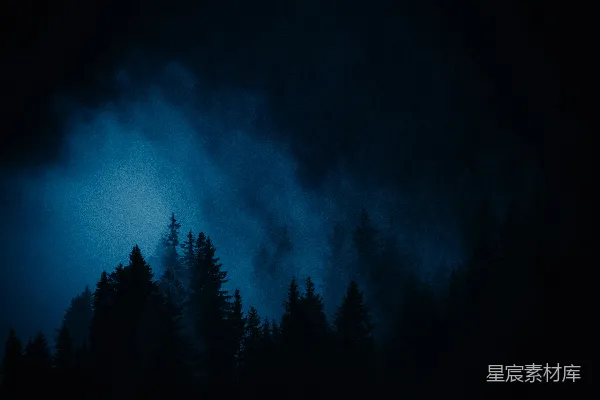 高清摄影 森林中一棵树丛的景象
