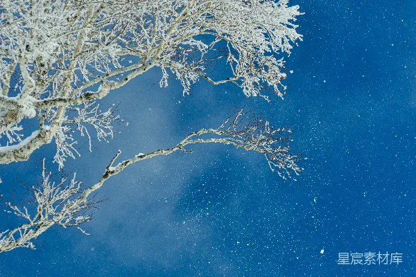 高清摄影 一个男人骑着雪板滑下覆盖着白雪的斜坡。