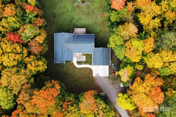 高清摄影 绿树与灰色混凝土建筑的 aerial 视角