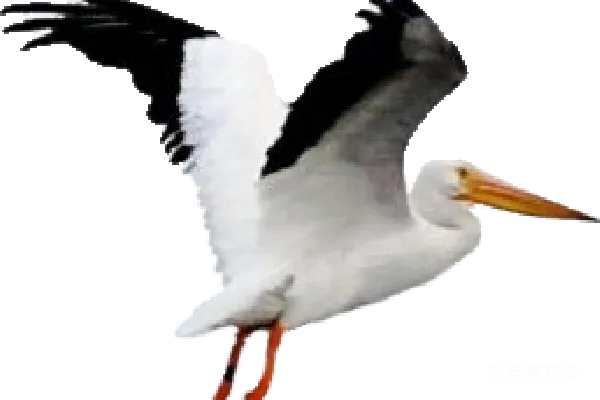 元素素材 企鹅