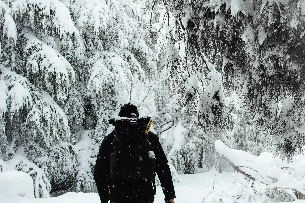 高清摄影 黑色风衣的人在雪覆盖的地面上行走