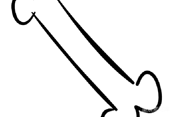 元素素材 透明