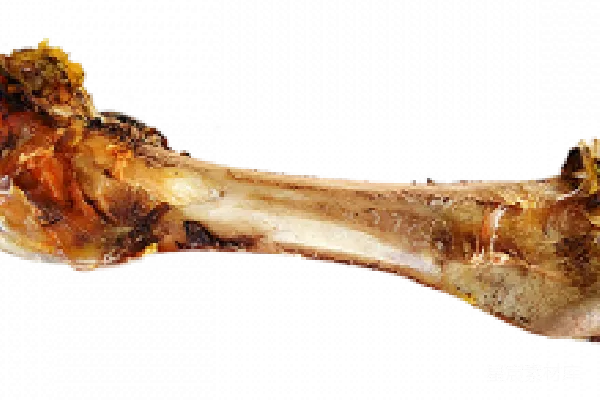 元素素材 烤羊腿