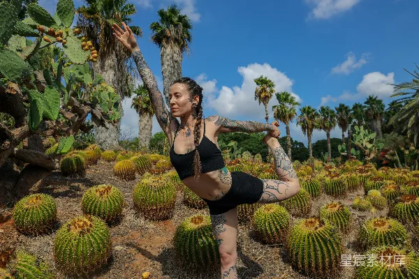 高清摄影 黑色紧身上衣和黑色紧腿裤的女人站在棕色的沙滩上，周围是绿色的棕榈树。