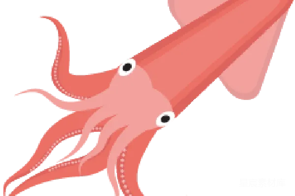 元素素材 squid