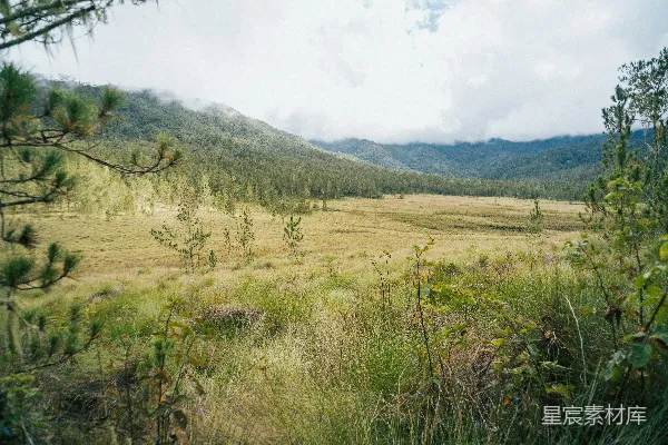 草地上的山丘背景