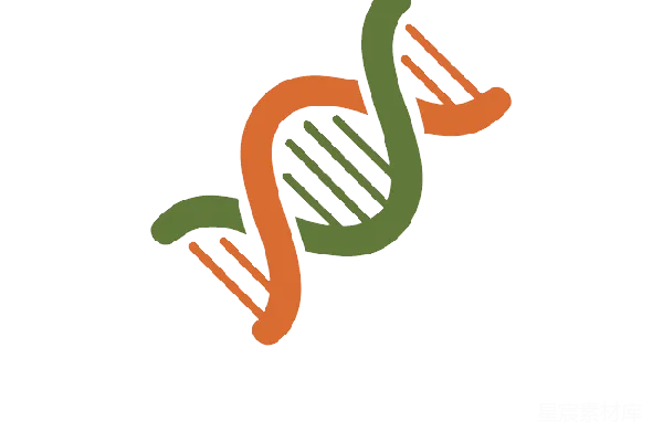 元素素材 DNA