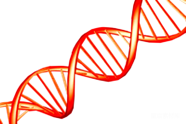 元素素材 DNA
