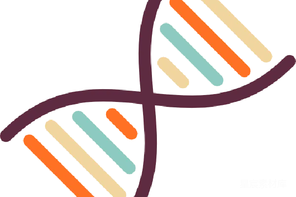元素素材 DNA