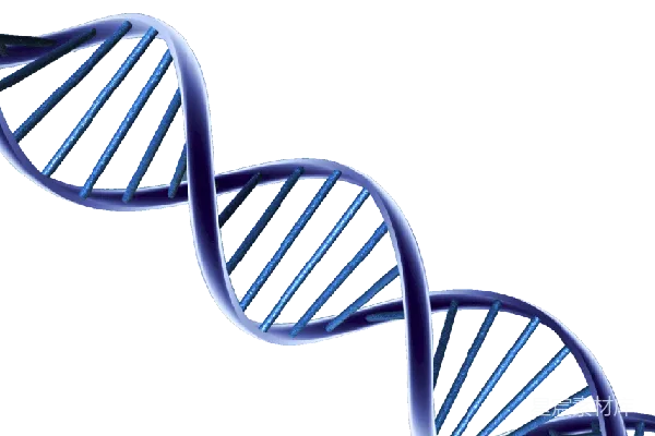 元素素材 DNA