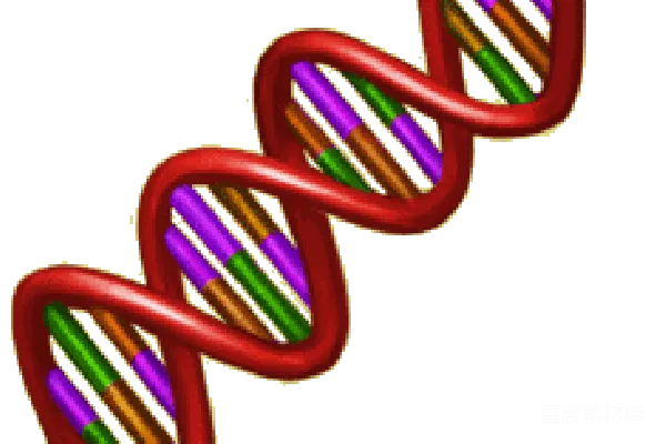 元素素材 DNA
