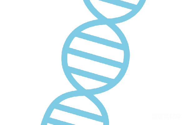元素素材 DNA