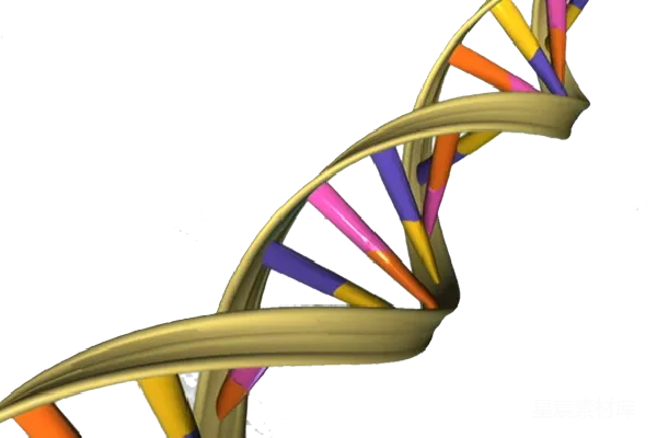 元素素材 DNA