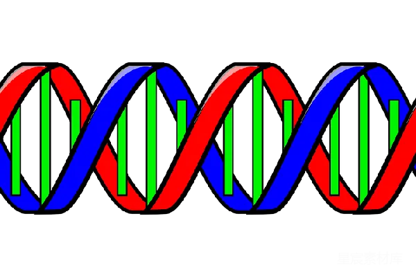 元素素材 DNA