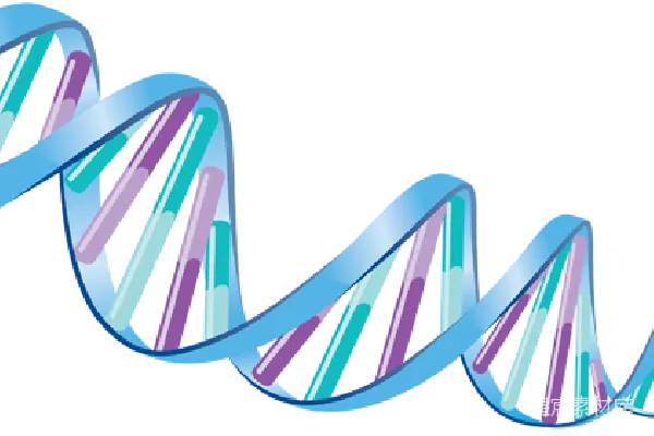 元素素材 DNA