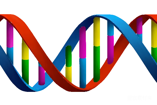 元素素材 DNA